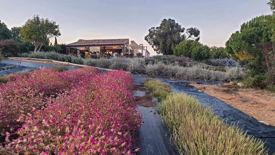 Quinta Do Mel Vendégház Albufeira Kültér fotó
