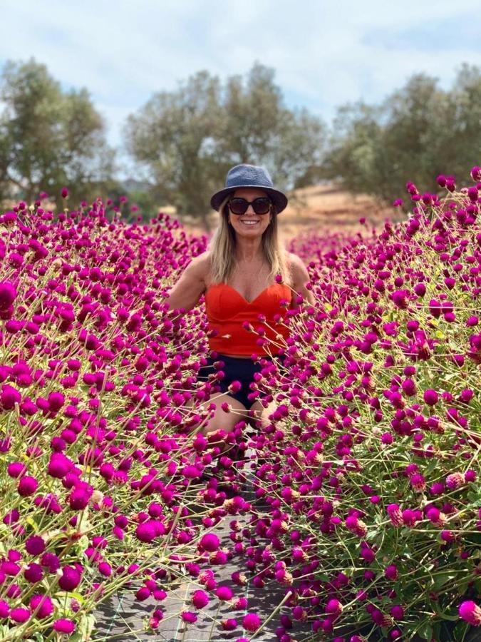Quinta Do Mel Vendégház Albufeira Kültér fotó